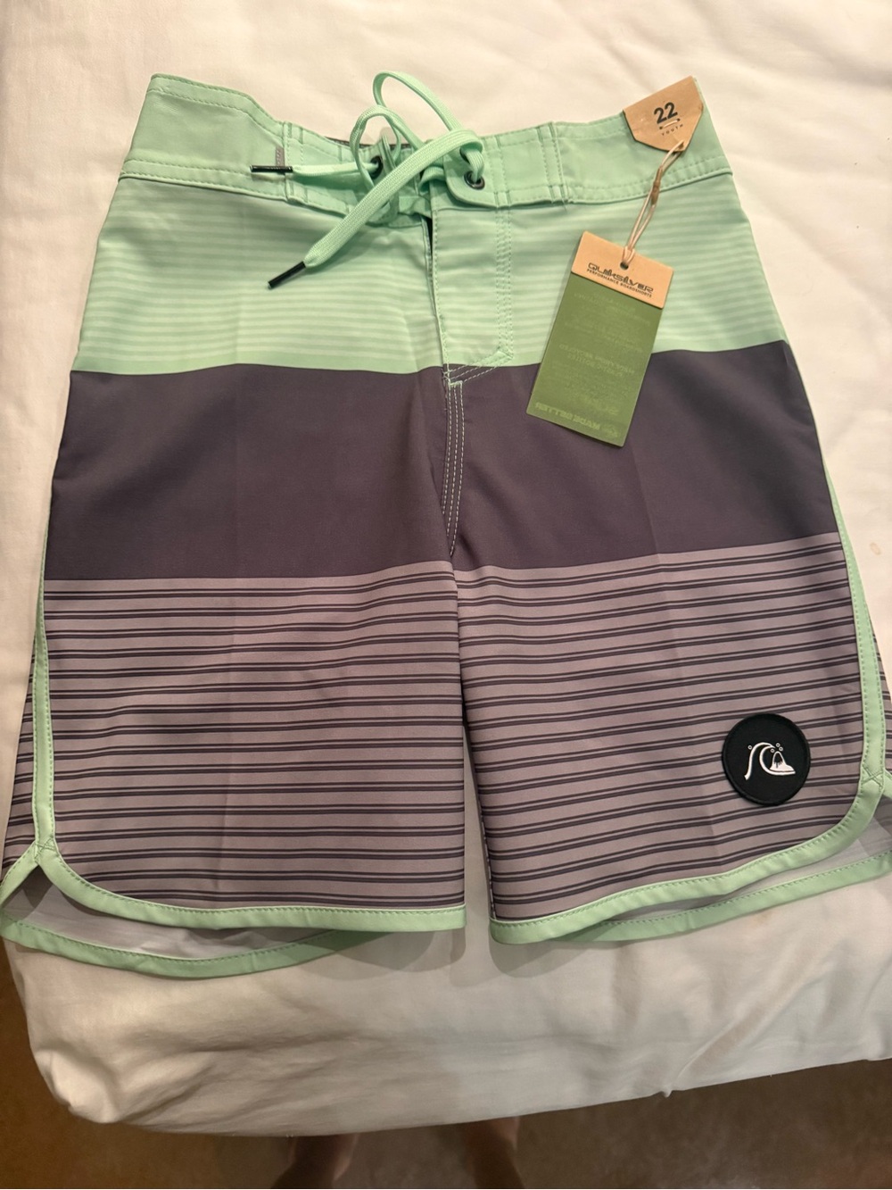 Quiksilver Kids Mint Green & Gray Stripe Swim Trunks NWT